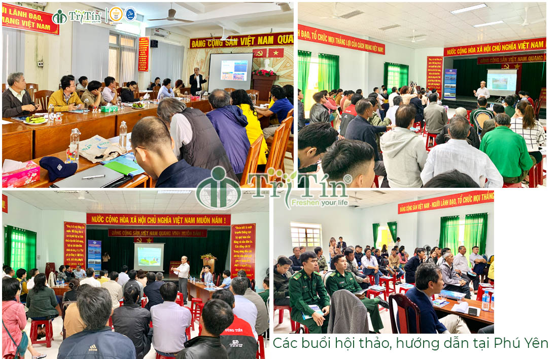 Các buổi hội thảo, hướng dẫn tại Phú Yên