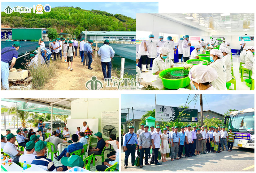 Đoàn cán bộ và nông dân Thị xã Sông Cầu - Tỉnh Phú Yên đến tham quan và học tập mô hình trồng và chế biến rong nho biển của Cty